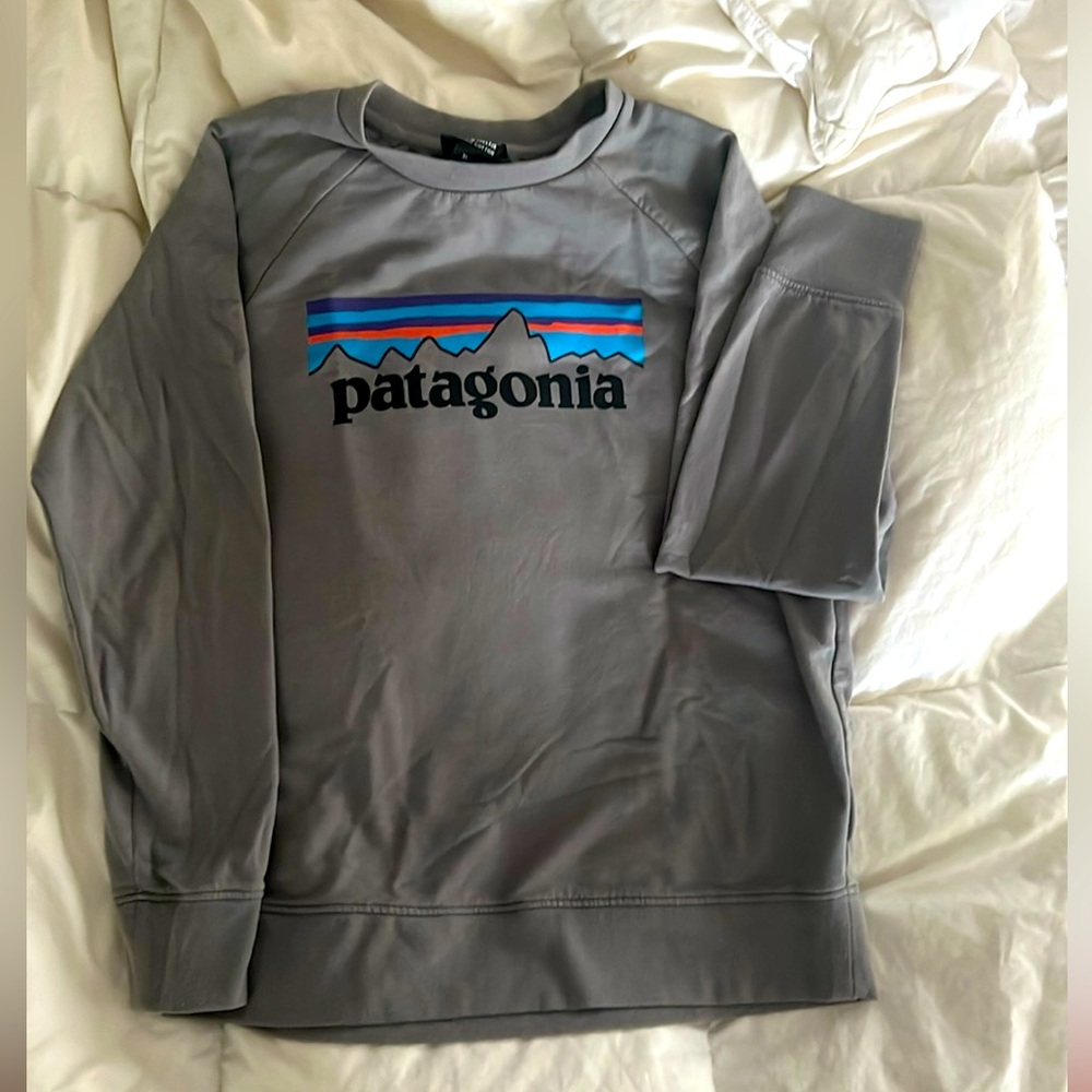 Patagonia Kids sweatshirt.
